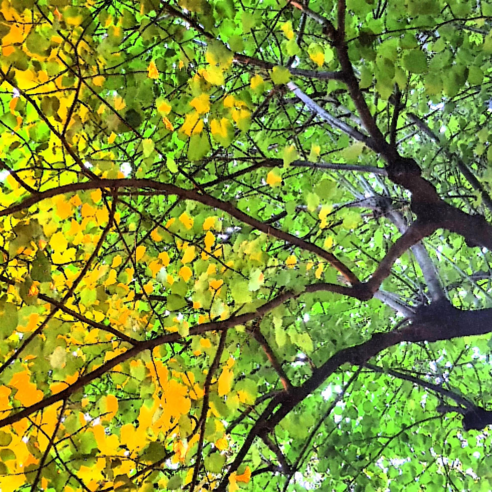 Herbst