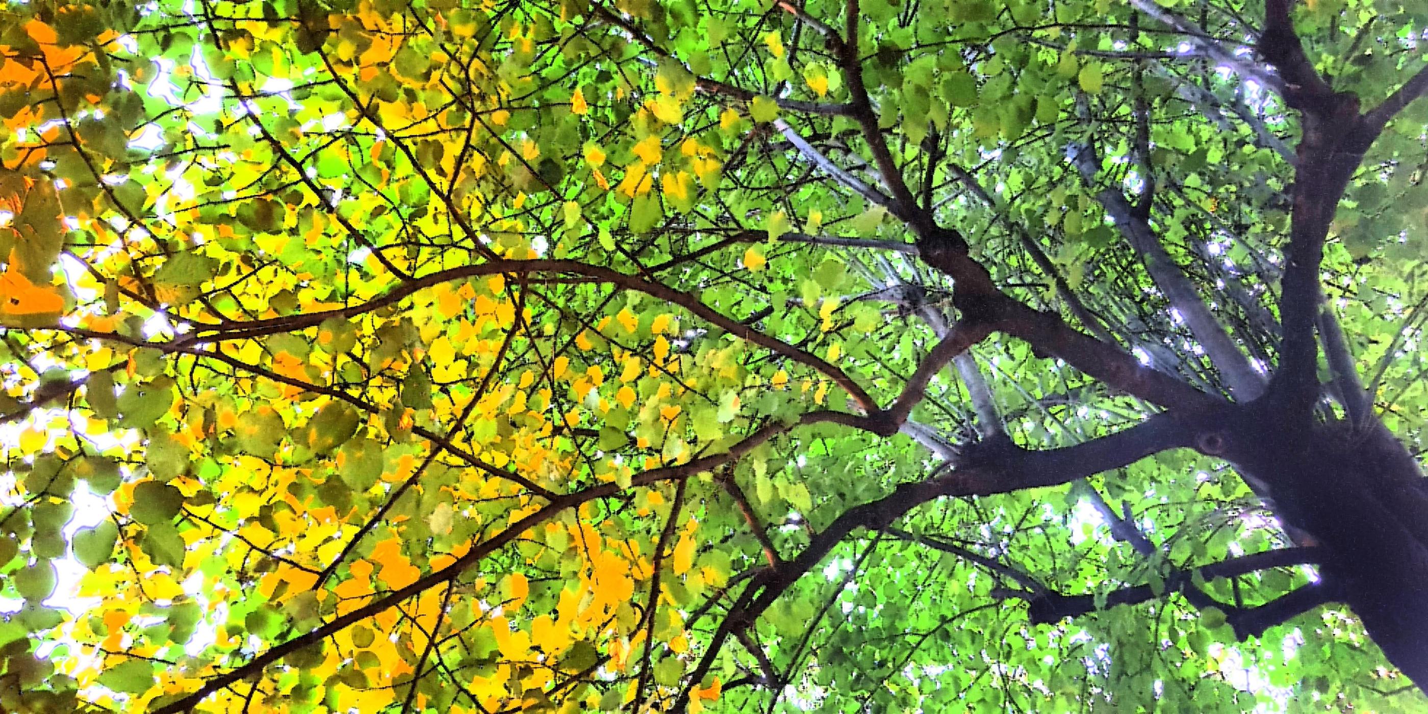 Herbst