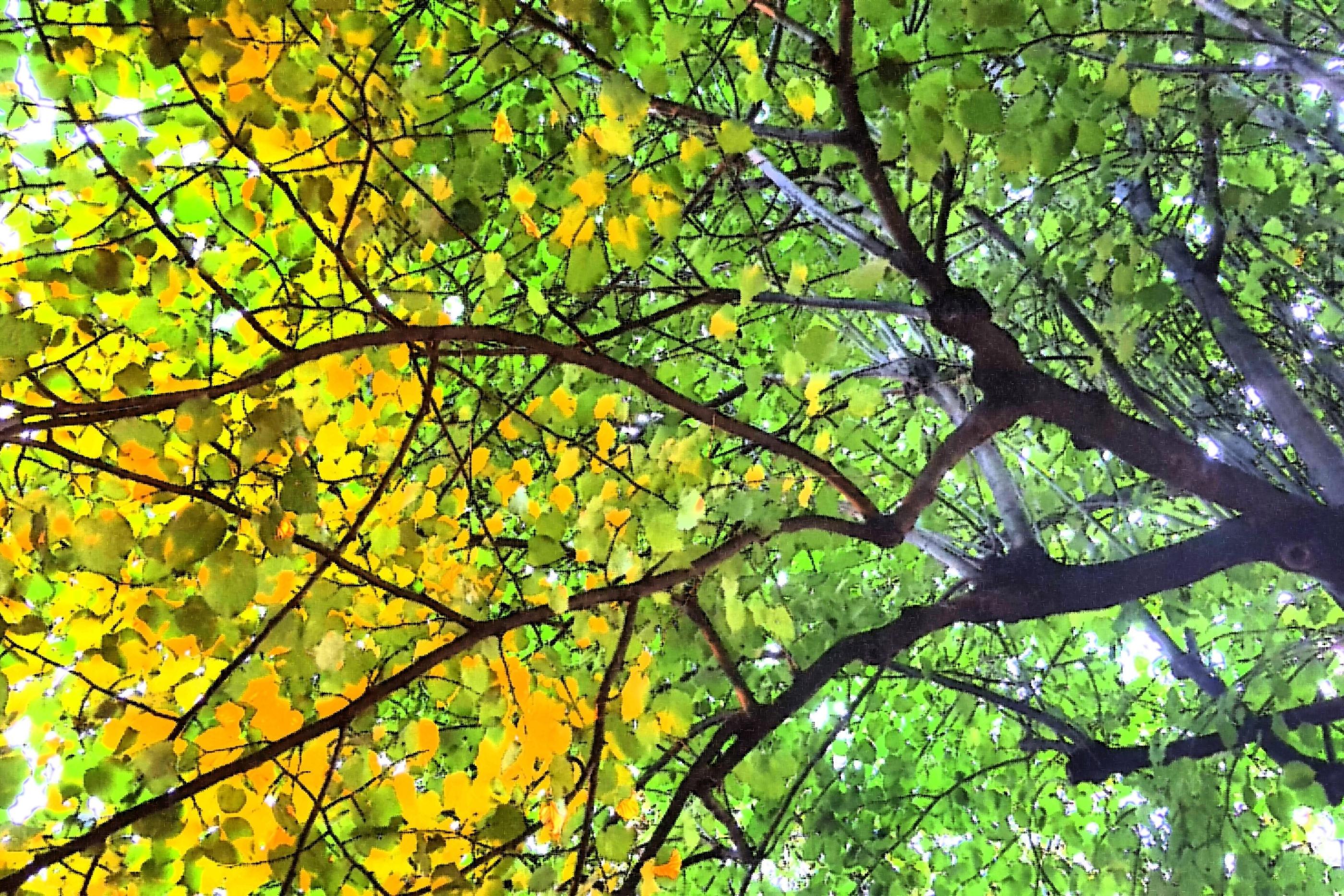 Herbst